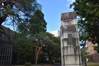 てんかん発作のきっかけ発見＝神経支援細胞が関与か―東北大