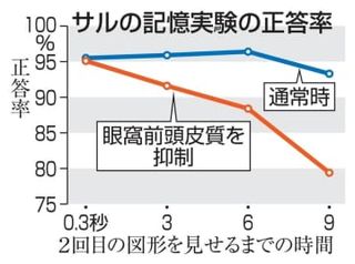 見た物記憶する脳回路を特定　認知症治療への活用期待