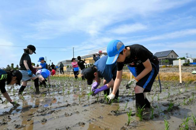 小学校で学ぶ「農業科」　生き物に学ぶタイパ、コスパと対極の世界観